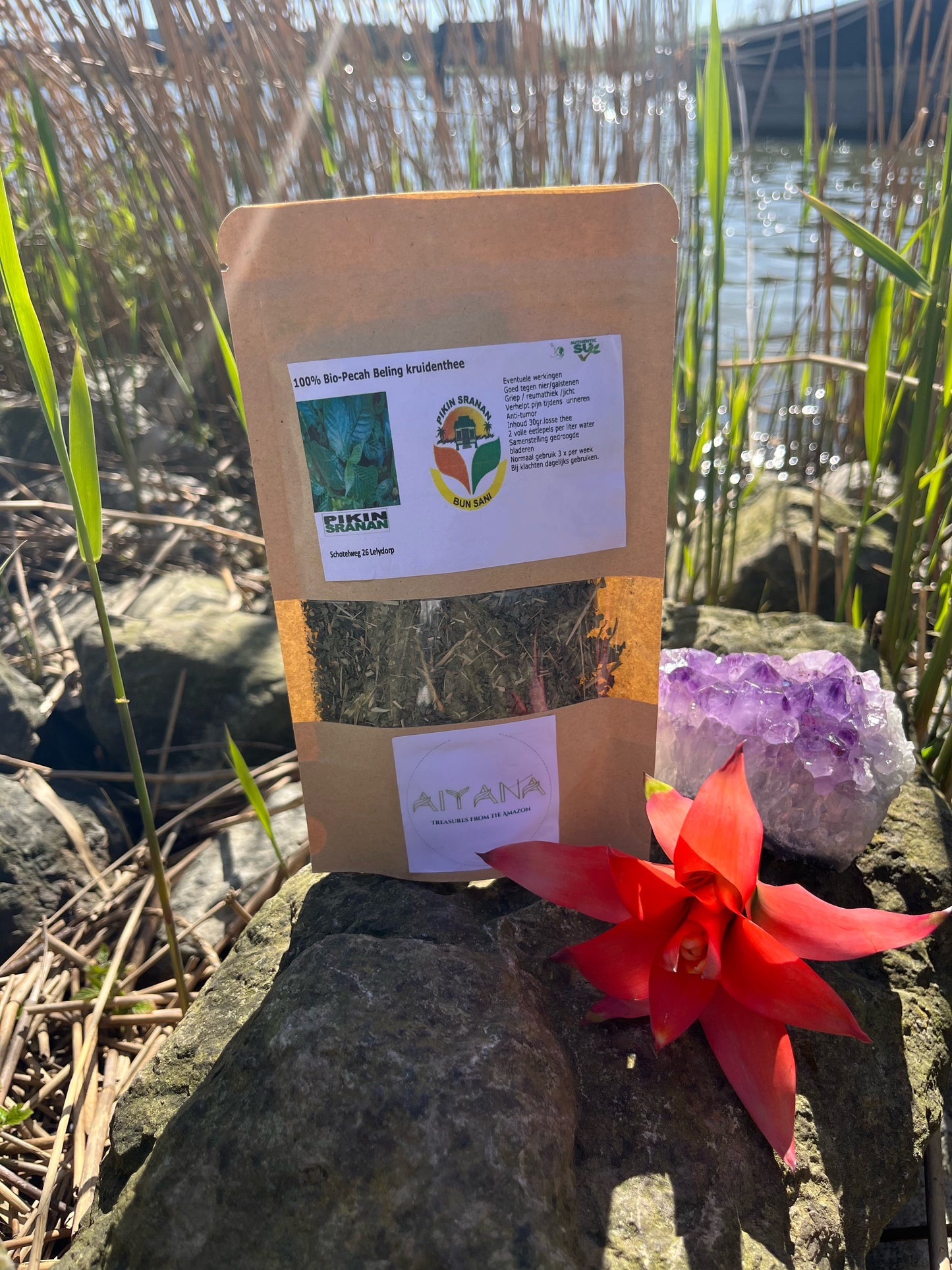 Moringa Tea