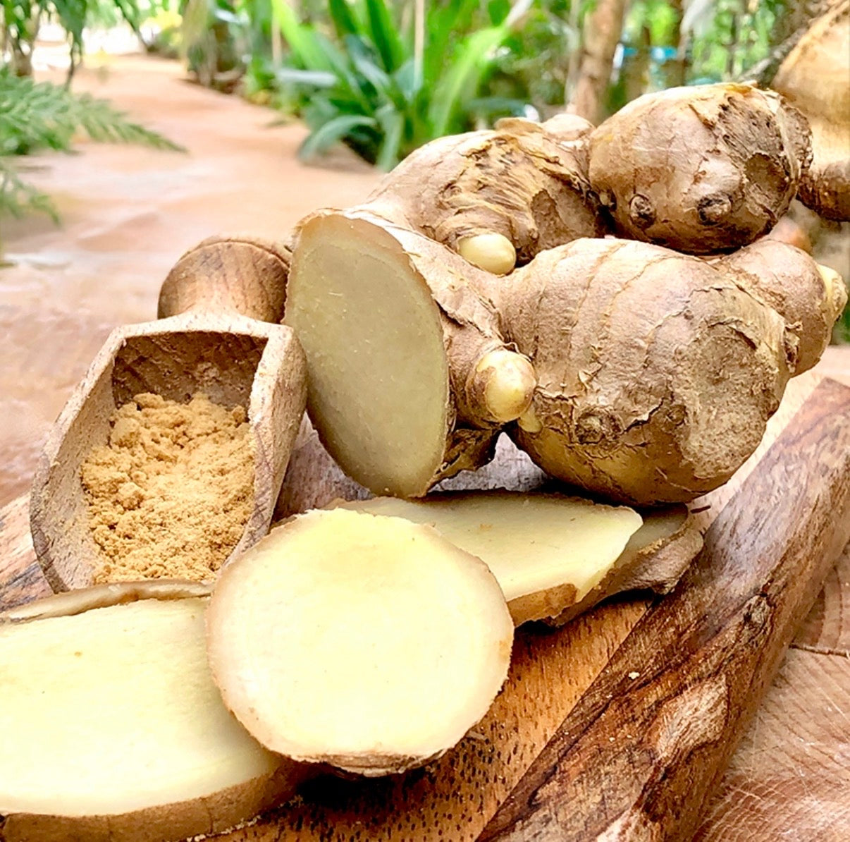 Ginger Spice Bundle