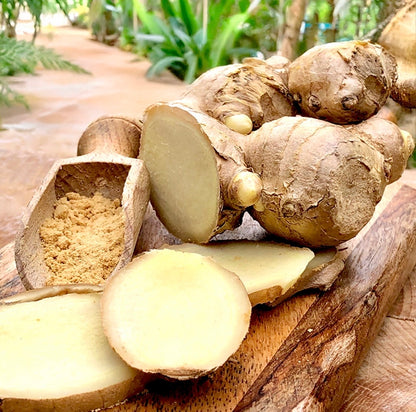 Ginger Spice Bundle