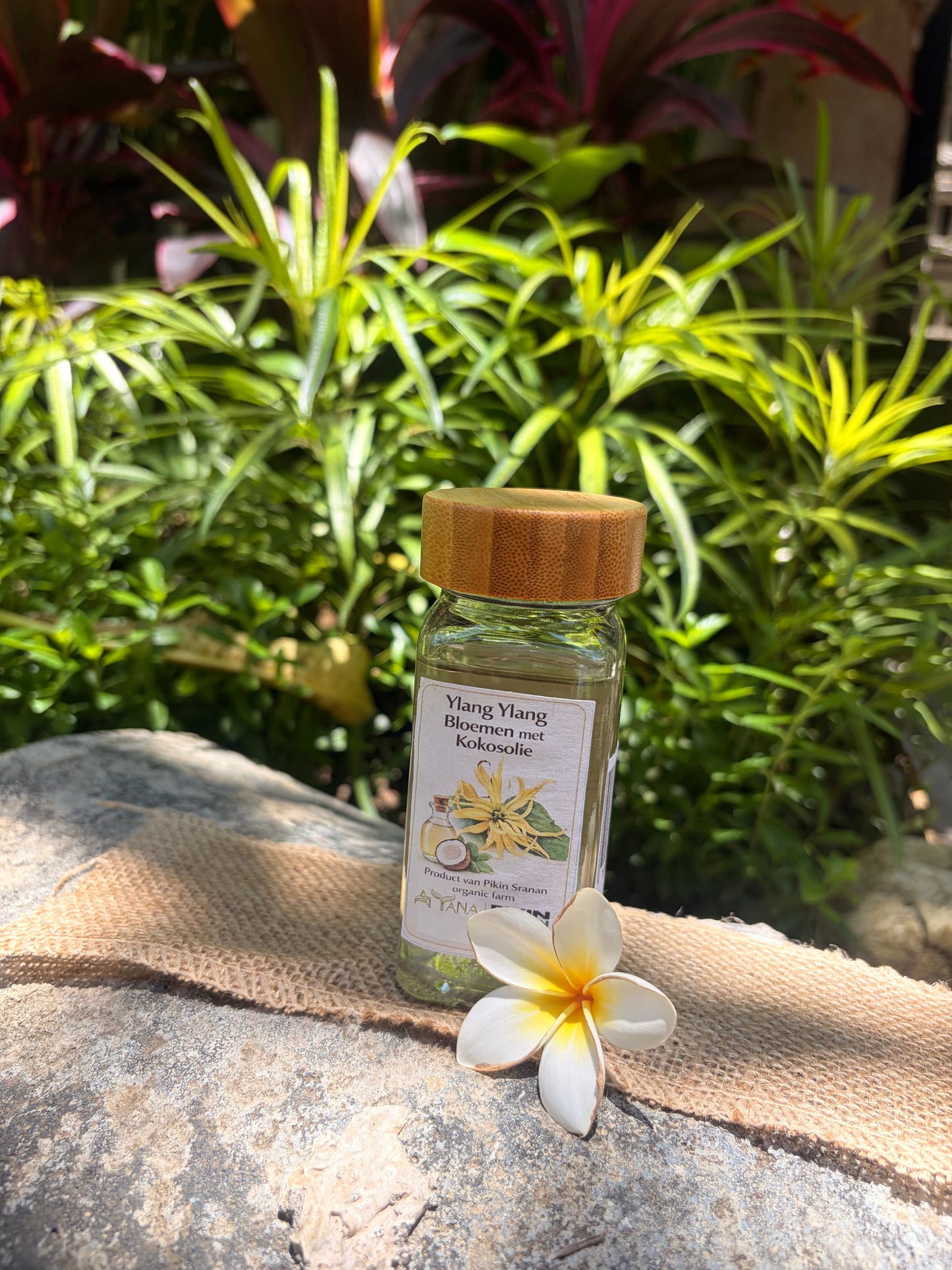 Ylang Ylang Oil