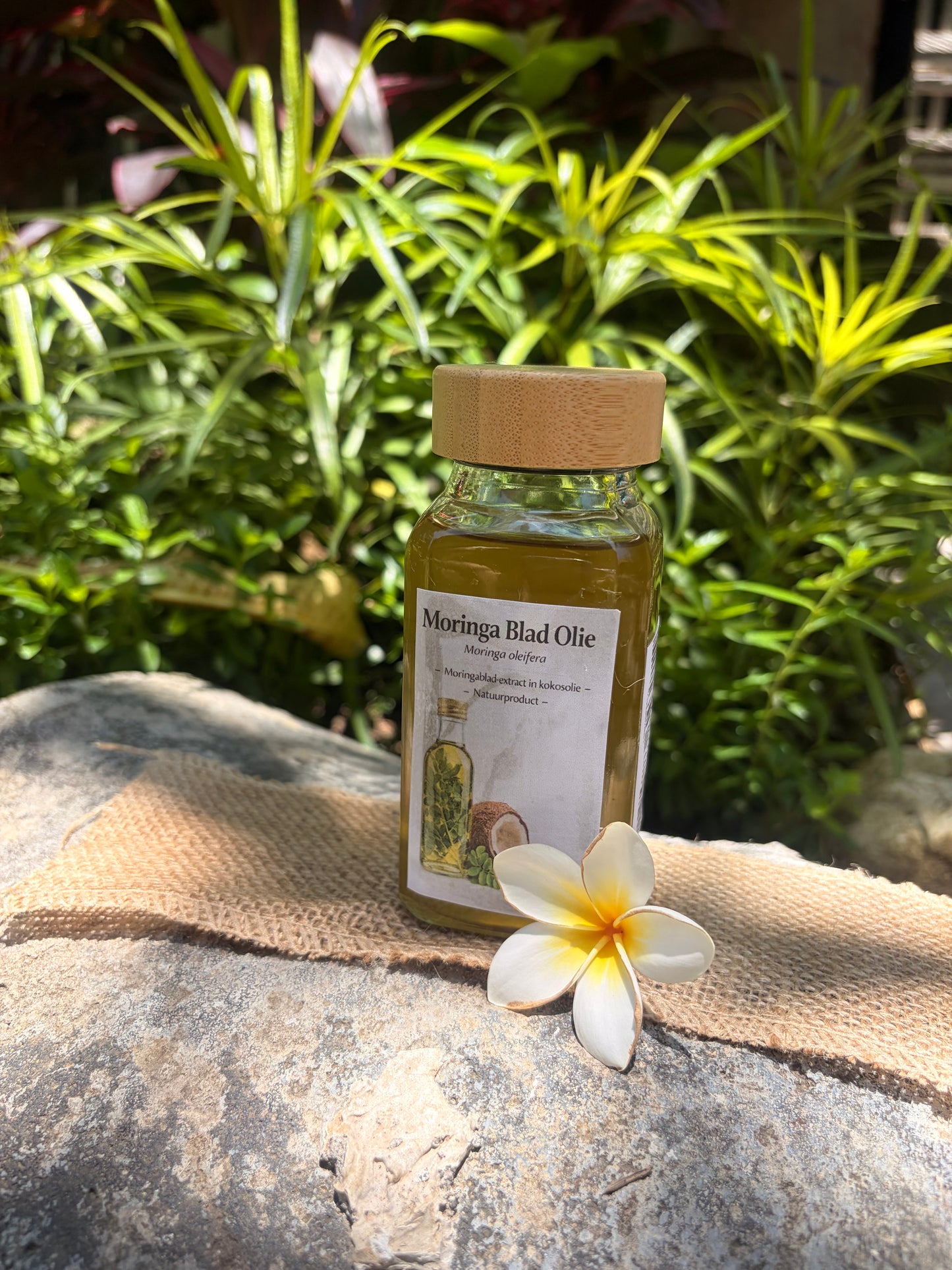 Moringa oil