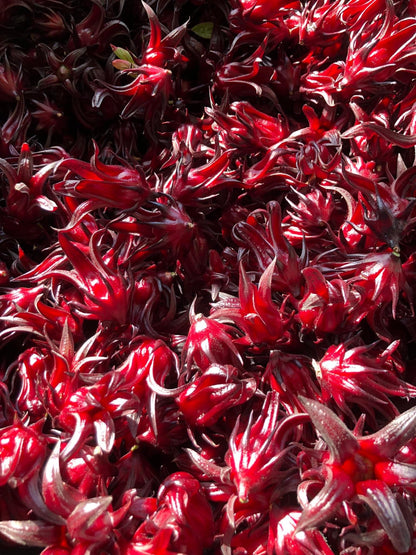 Hibiscus tea (Sjuru)