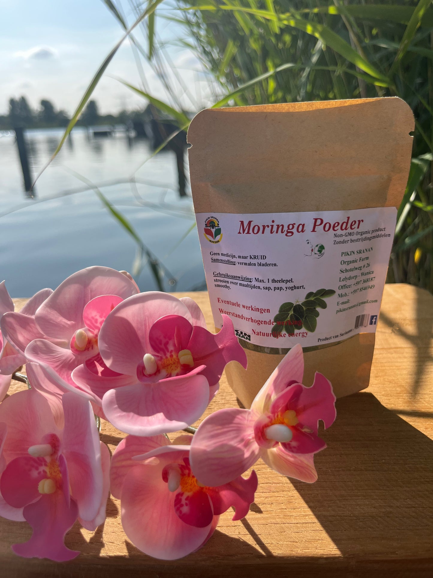 Moringa Powder