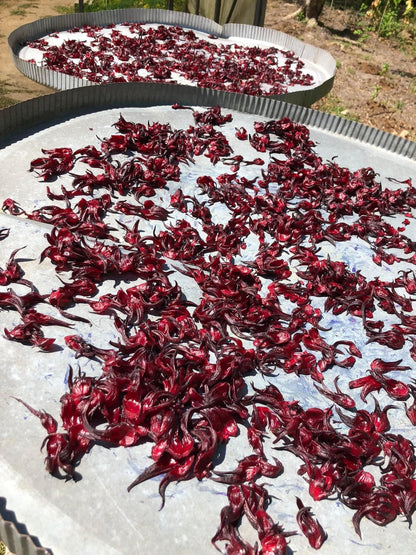 Hibiscus tea (Sjuru)