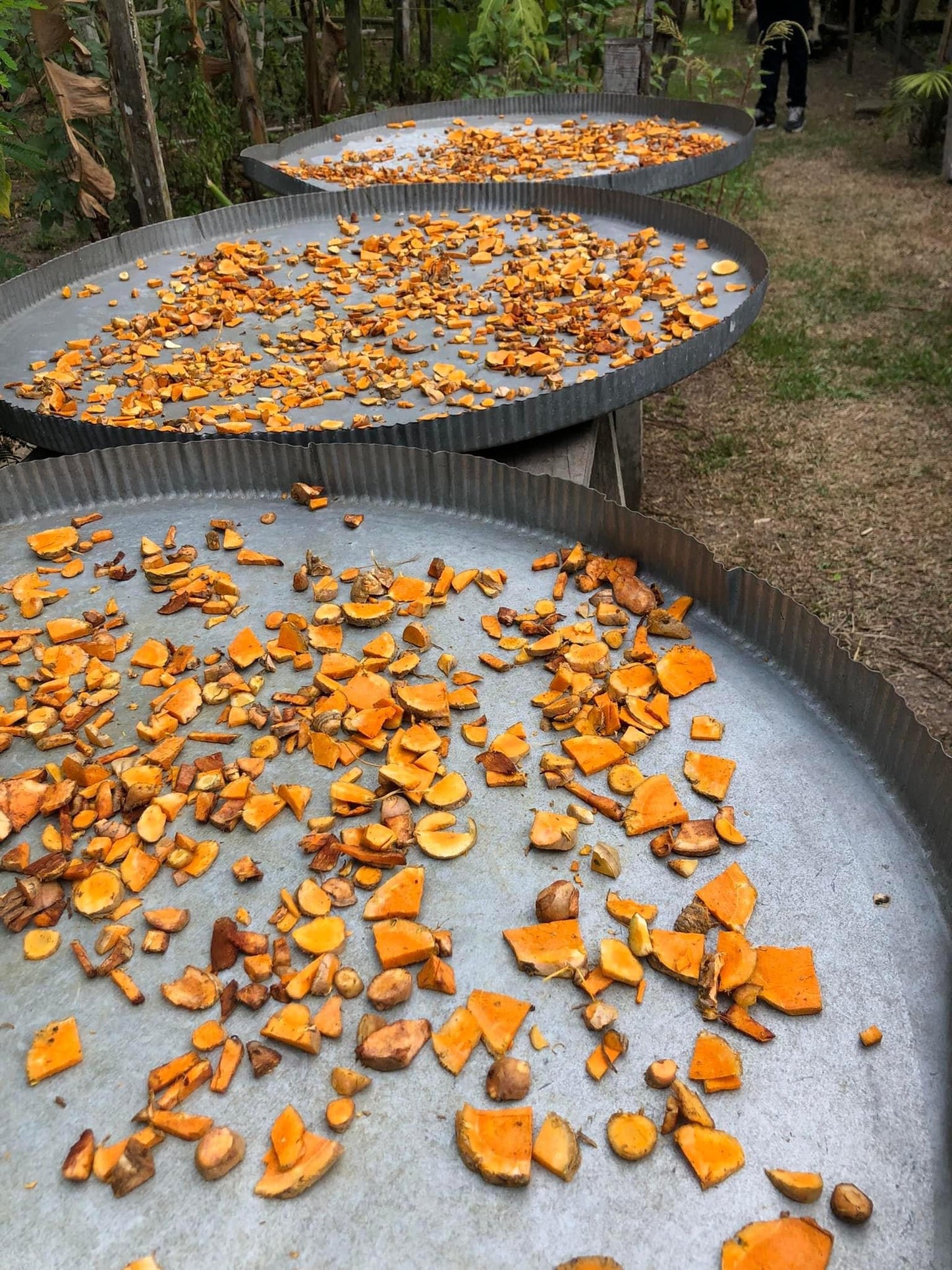 Turmeric Powder / Kurkuma