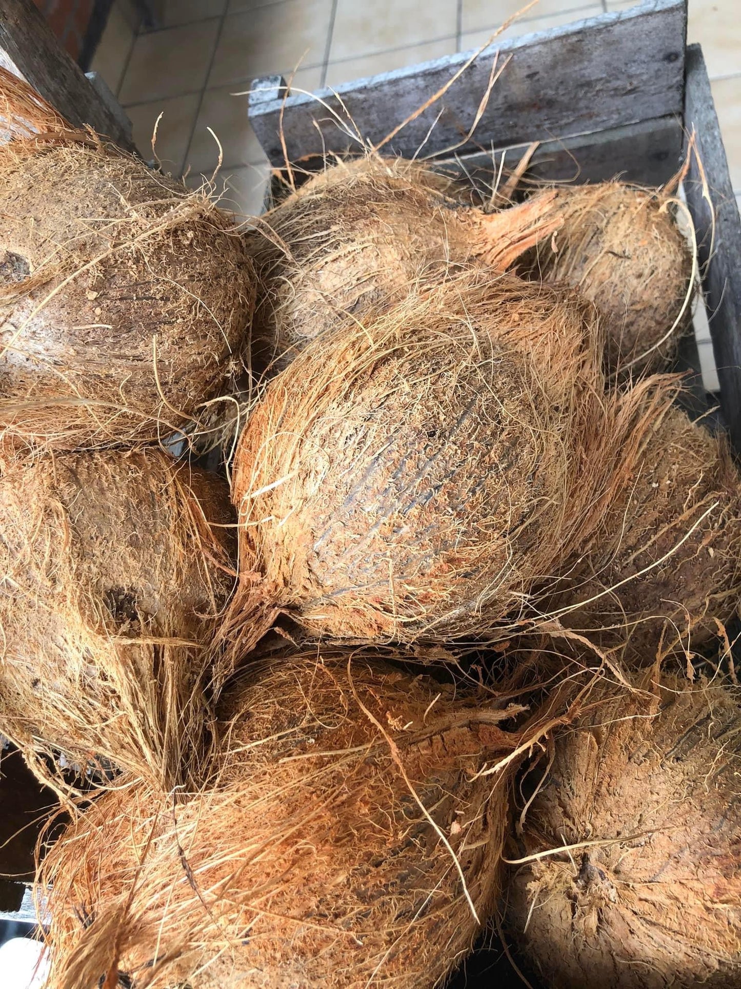White Coconut oil (cold pressed)