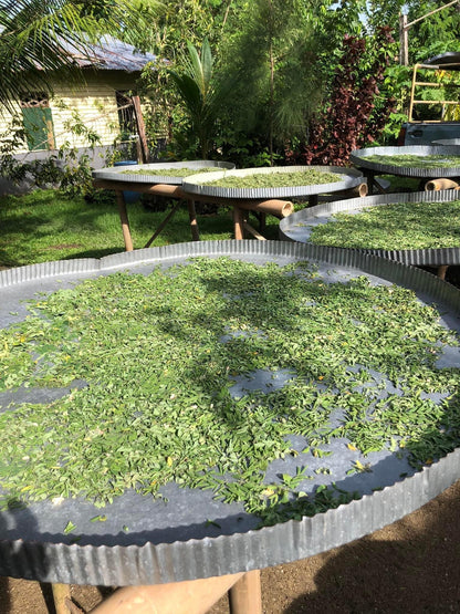Moringa oil