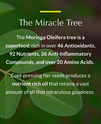 Moringa Tea