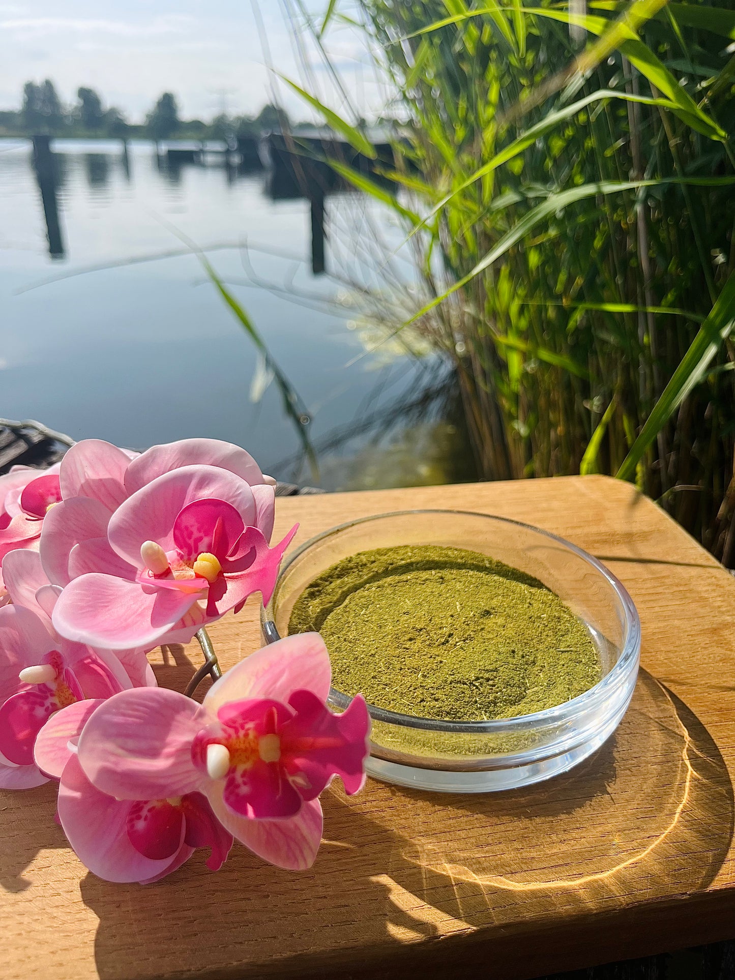 Moringa Powder