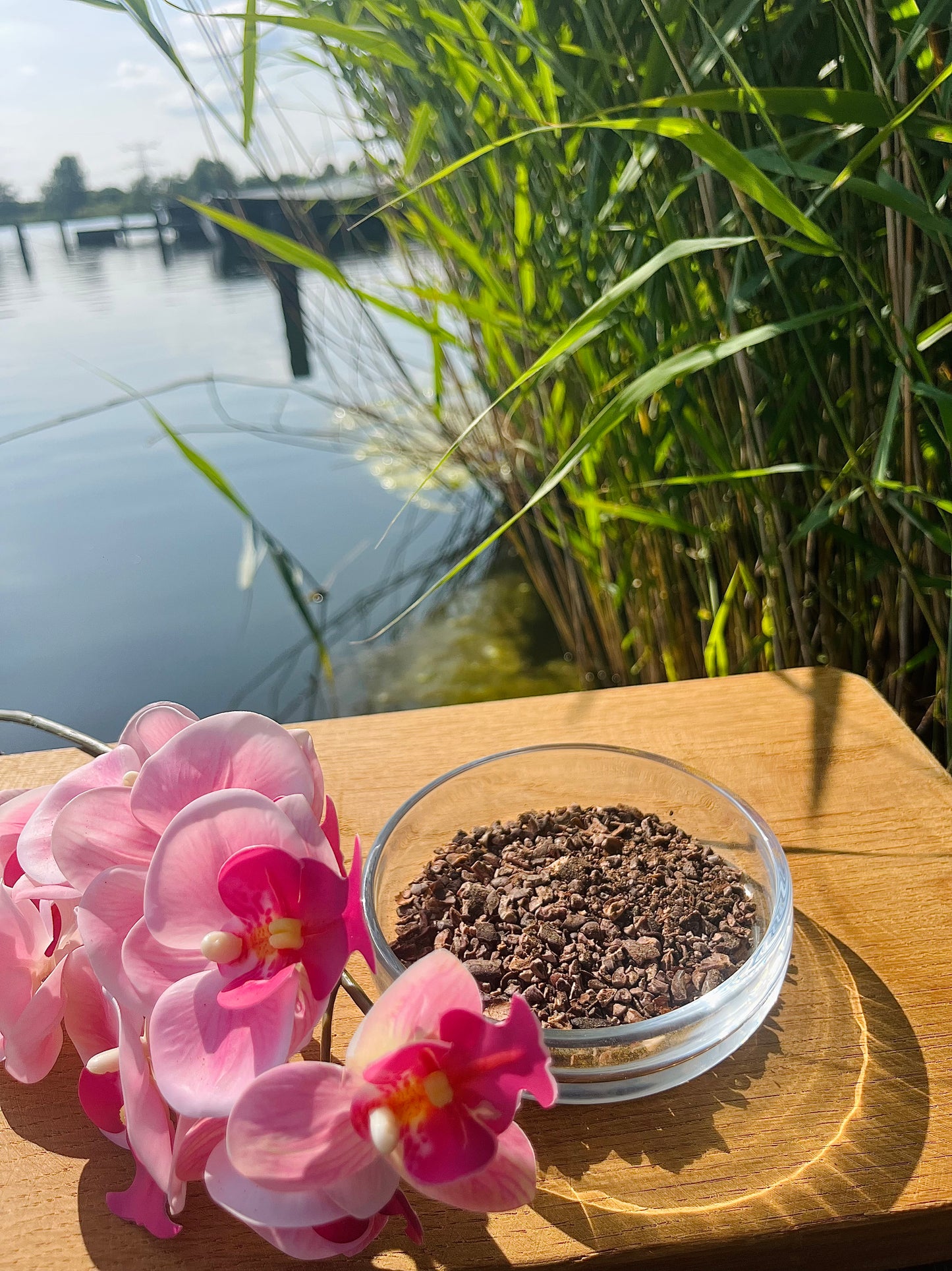 Cacao Nibs